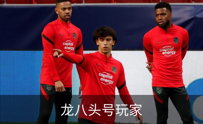 企业介绍